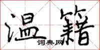 温籍怎么写好看,温籍书法图片