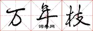 万年枝怎么写好看，万年枝书法图片