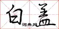 白盖怎么写好看，白盖书法图片
