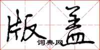 版盖怎么写好看，版盖书法图片