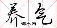 养气怎么写好看，养气书法图片