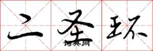 二圣环怎么写好看，二圣环书法图片