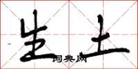 生土怎么写好看，生土书法图片