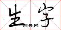 生字怎么写好看，生字书法图片