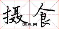摄食怎么写好看，摄食书法图片