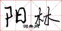 阳林怎么写好看，阳林书法图片