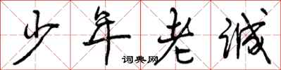 少年老诚怎么写好看，少年老诚书法图片
