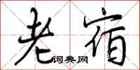 老宿怎么写好看，老宿书法图片