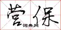 营保怎么写好看，营保书法图片
