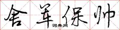 舍军保帅怎么写好看，舍军保帅书法图片