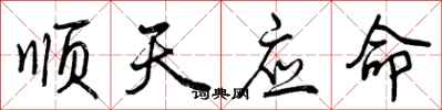 顺天应命怎么写好看，顺天应命书法图片