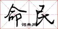 命民怎么写好看，命民书法图片