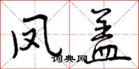 凤盖怎么写好看，凤盖书法图片