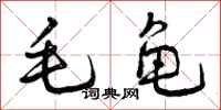毛龟怎么写好看,毛龟书法图片