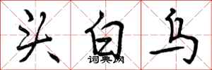 头白乌怎么写好看,头白乌书法图片