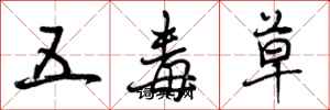 五毒草怎么写好看,五毒草书法图片