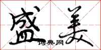 盛美怎么写好看,盛美书法图片