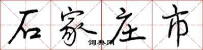石家庄市怎么写好看，石家庄市书法图片