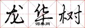 龙华树怎么写好看，龙华树书法图片