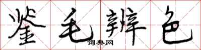 鉴毛辨色怎么写好看，鉴毛辨色书法图片