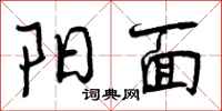 阳面怎么写好看，阳面书法图片