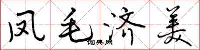 凤毛济美怎么写好看，凤毛济美书法图片