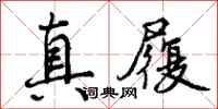 真履怎么写好看，真履书法图片