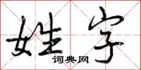 姓字怎么写好看,姓字书法图片