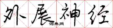 外展神经怎么写好看，外展神经书法图片
