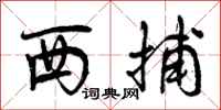西捕怎么写好看，西捕书法图片