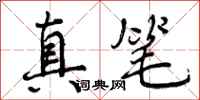 真笔怎么写好看，真笔书法图片