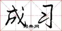 成习怎么写好看，成习书法图片