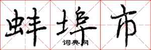 蚌埠市怎么写好看，蚌埠市书法图片