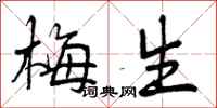 梅生怎么写好看，梅生书法图片