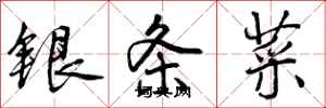银条菜怎么写好看，银条菜书法图片