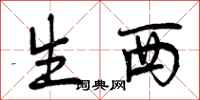 生西怎么写好看,生西书法图片