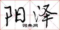 阳泽怎么写好看，阳泽书法图片