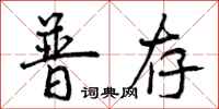 普存怎么写好看，普存书法图片