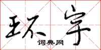 环宇怎么写好看，环宇书法图片