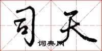 司天怎么写好看,司天书法图片