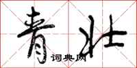 青壮怎么写好看，青壮书法图片