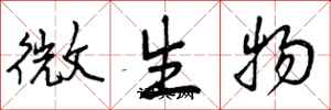 微生物怎么写好看，微生物书法图片