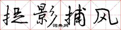捉影捕风怎么写好看，捉影捕风书法图片