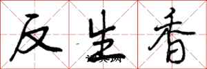 反生香怎么写好看，反生香书法图片