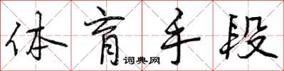 体育手段怎么写好看，体育手段书法图片