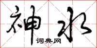 神水怎么写好看,神水书法图片