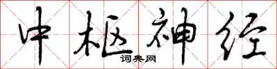 中枢神经怎么写好看，中枢神经书法图片