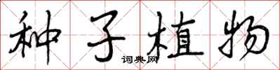 种子植物怎么写好看,种子植物书法图片