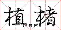 植楮怎么写好看，植楮书法图片