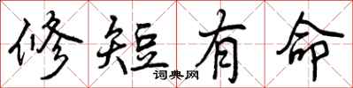 修短有命怎么写好看，修短有命书法图片